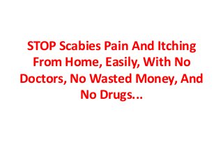 STOP Scabies Pain And Itching
From Home, Easily, With No
Doctors, No Wasted Money, And
No Drugs...
 