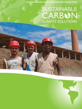 About Sustainable Carbon & Comprehensive Sustainability
 