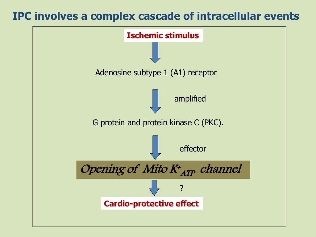 stable coronary artery disease
