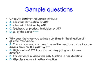 Sample questions 
• Glycolytic pathway regulation involves 
• A. allosteric stimulation by ADP 
• B. allosteric inhibition by ATP 
• C. feedback, or product, inhibition by ATP 
• D. all of the above 
• Why does the glycolytic pathway continue in the direction of 
glucose catabolism? 
• A. There are essentially three irreversible reactions that act as the 
driving force for the pathway 
• B. High levels of ATP keep the pathway going in a forward 
direction 
• C. The enzymes of glycolysis only function in one direction 
• D. Glycolysis occurs in either direction 
 