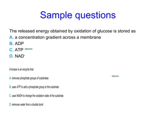 Sample questions 
The released energy obtained by oxidation of glucose is stored as 
A. a concentration gradient across a membrane 
B. ADP 
C. ATP 
D. NAD+ 
A kinase is an enzyme that 
A. removes phosphate groups of substrates 
B. uses ATP to add a phosphate group to the substrate 
C. uses NADH to change the oxidation state of the substrate 
D. removes water from a double bond 
 