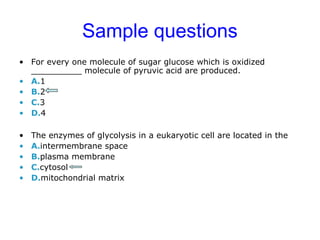 Sample questions 
• For every one molecule of sugar glucose which is oxidized 
__________ molecule of pyruvic acid are produced. 
• A.1 
• B.2 
• C.3 
• D.4 
• The enzymes of glycolysis in a eukaryotic cell are located in the 
• A.intermembrane space 
• B.plasma membrane 
• C.cytosol 
• D.mitochondrial matrix 
 