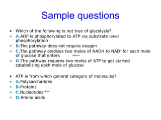 Sample questions 
• Which of the following is not true of glycolysis? 
• A.ADP is phosphorylated to ATP via substrate level 
phosphorylation 
• B.The pathway does not require oxygen 
• C.The pathway oxidizes two moles of NADH to NAD+ for each mole 
of glucose that enters 
• D.The pathway requires two moles of ATP to get started 
catabolizing each mole of glucose 
• ATP is from which general category of molecules? 
• A.Polysaccharides 
• B.Proteins 
• C.Nucleotides 
• D.Amino acids 
 