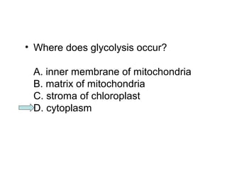 • Where does glycolysis occur? 
A. inner membrane of mitochondria 
B. matrix of mitochondria 
C. stroma of chloroplast 
D. cytoplasm 
 