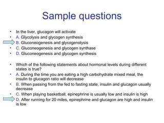 Sample questions 
• In the liver, glucagon will activate 
• A. Glycolysis and glycogen synthesis 
• B. Gluconeogenesis and glycogenolysis 
• C. Gluconeogenesis and glycogen synthase 
• D. Gluconeogenesis and glycogen synthesis 
• Which of the following statements about hormonal levels during different 
states is true? 
• A. During the time you are eating a high carbohydrate mixed meal, the 
insulin to glucagon ratio will decrease 
• B. When passing from the fed to fasting state, insulin and glucagon usually 
decrease 
• C. When playing basketball, epinephrine is usually low and insulin is high 
• D. After running for 20 miles, epinephrine and glucagon are high and insulin 
is low 
 
