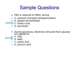 Sample Questions 
• FAD is reduced to FADH2 during 
• A. electron transport phosphorylation 
• B. lactate fermentation 
• C. Krebs cycle 
• D. glycolysis 
• During glycolysis, electrons removed from glucose 
are passed to 
• A. FAD 
• B. NAD+ 
• C. acetyl CoA 
• D. pyruvic acid 
 