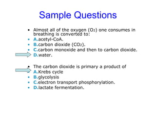 Sample Questions 
• Almost all of the oxygen (O2) one consumes in 
breathing is converted to: 
• A.acetyl-CoA. 
• B.carbon dioxide (CO2). 
• C.carbon monoxide and then to carbon dioxide. 
• D.water. 
• The carbon dioxide is primary a product of 
• A.Krebs cycle 
• B.glycolysis 
• C.electron transport phosphorylation. 
• D.lactate fermentation. 
 