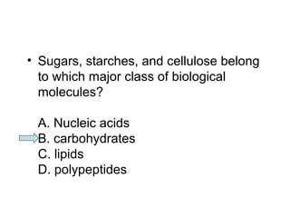 • Sugars, starches, and cellulose belong 
to which major class of biological 
molecules? 
A. Nucleic acids 
B. carbohydrates 
C. lipids 
D. polypeptides 
 