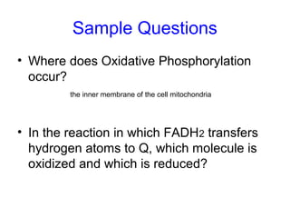 Sample Questions 
• Where does Oxidative Phosphorylation 
occur? 
the inner membrane of the cell mitochondria 
• In the reaction in which FADH2 transfers 
hydrogen atoms to Q, which molecule is 
oxidized and which is reduced? 
 