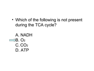 • Which of the following is not present 
during the TCA cycle? 
A. NADH 
B. O2 
C. CO2 
D. ATP 
 