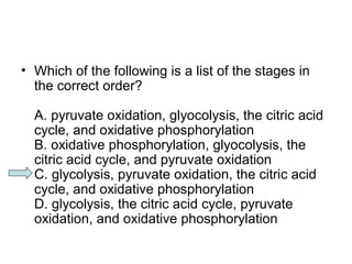 • Which of the following is a list of the stages in 
the correct order? 
A. pyruvate oxidation, glyocolysis, the citric acid 
cycle, and oxidative phosphorylation 
B. oxidative phosphorylation, glyocolysis, the 
citric acid cycle, and pyruvate oxidation 
C. glycolysis, pyruvate oxidation, the citric acid 
cycle, and oxidative phosphorylation 
D. glycolysis, the citric acid cycle, pyruvate 
oxidation, and oxidative phosphorylation 
 