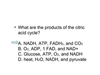 • What are the products of the citric 
acid cycle? 
A. NADH, ATP, FADH2, and CO2 
B. O2, ADP, 1 FAD, and NAD+ 
C. Glucose, ATP, O2, and NADH 
D. heat, H2O, NADH, and pyruvate 
 