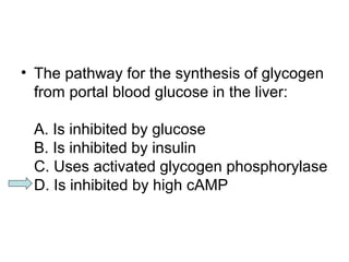 • The pathway for the synthesis of glycogen 
from portal blood glucose in the liver: 
A. Is inhibited by glucose 
B. Is inhibited by insulin 
C. Uses activated glycogen phosphorylase 
D. Is inhibited by high cAMP 
 