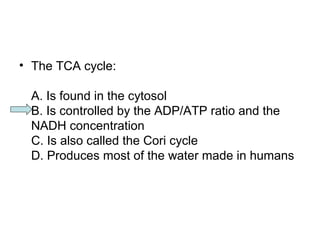 • The TCA cycle: 
A. Is found in the cytosol 
B. Is controlled by the ADP/ATP ratio and the 
NADH concentration 
C. Is also called the Cori cycle 
D. Produces most of the water made in humans 
 