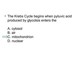 • The Krebs Cycle begins when pytuvic acid 
produced by glycolsis enters the 
A. cytosol 
B. air 
C. mitochondrion 
D. nuclear 
 