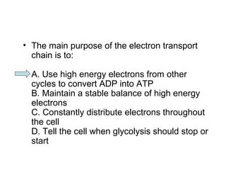 • The main purpose of the electron transport 
chain is to: 
A. Use high energy electrons from other 
cycles to convert ADP into ATP 
B. Maintain a stable balance of high energy 
electrons 
C. Constantly distribute electrons throughout 
the cell 
D. Tell the cell when glycolysis should stop or 
start 
 