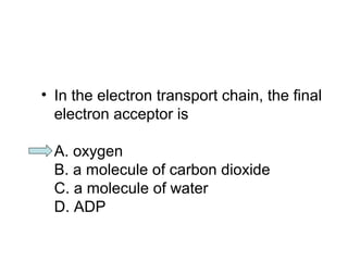 • In the electron transport chain, the final 
electron acceptor is 
A. oxygen 
B. a molecule of carbon dioxide 
C. a molecule of water 
D. ADP 
 