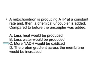 • A mitochondrion is producing ATP at a constant 
rate and, then, a chemical uncoupler is added. 
Compared to before the uncoupler was added: 
A. Less heat would be produced 
B. Less water would be produced 
C. More NADH would be oxidized 
D. The proton gradient across the membrane 
would be increased 
 