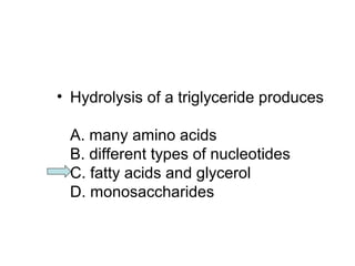 • Hydrolysis of a triglyceride produces 
A. many amino acids 
B. different types of nucleotides 
C. fatty acids and glycerol 
D. monosaccharides 
 