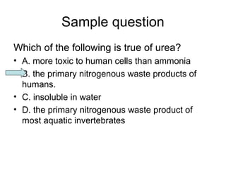 Sample question 
Which of the following is true of urea? 
• A. more toxic to human cells than ammonia 
• B. the primary nitrogenous waste products of 
humans. 
• C. insoluble in water 
• D. the primary nitrogenous waste product of 
most aquatic invertebrates 
 