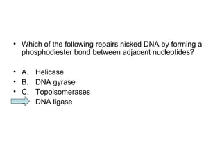 • Which of the following repairs nicked DNA by forming a 
phosphodiester bond between adjacent nucleotides? 
• A. Helicase 
• B. DNA gyrase 
• C. Topoisomerases 
• D. DNA ligase 
 