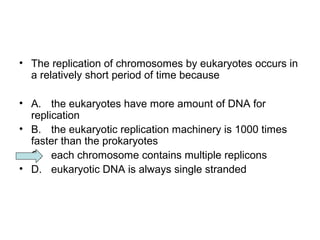 • The replication of chromosomes by eukaryotes occurs in 
a relatively short period of time because 
• A. the eukaryotes have more amount of DNA for 
replication 
• B. the eukaryotic replication machinery is 1000 times 
faster than the prokaryotes 
• C. each chromosome contains multiple replicons 
• D. eukaryotic DNA is always single stranded 
 