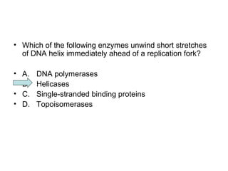 • Which of the following enzymes unwind short stretches 
of DNA helix immediately ahead of a replication fork? 
• A. DNA polymerases 
• B. Helicases 
• C. Single-stranded binding proteins 
• D. Topoisomerases 
 