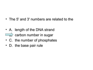 • The 5' and 3' numbers are related to the 
• A. length of the DNA strand 
• B. carbon number in sugar 
• C. the number of phosphates 
• D. the base pair rule 
 