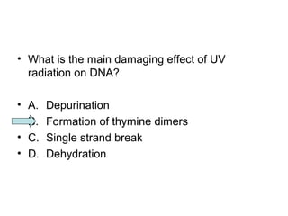 • What is the main damaging effect of UV 
radiation on DNA? 
• A. Depurination 
• B. Formation of thymine dimers 
• C. Single strand break 
• D. Dehydration 
 