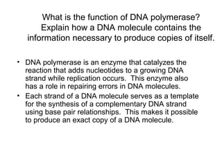 What is the function of DNA polymerase? 
Explain how a DNA molecule contains the 
information necessary to produce copies of itself. 
• DNA polymerase is an enzyme that catalyzes the 
reaction that adds nucleotides to a growing DNA 
strand while replication occurs. This enzyme also 
has a role in repairing errors in DNA molecules. 
• Each strand of a DNA molecule serves as a template 
for the synthesis of a complementary DNA strand 
using base pair relationships. This makes it possible 
to produce an exact copy of a DNA molecule. 
 
