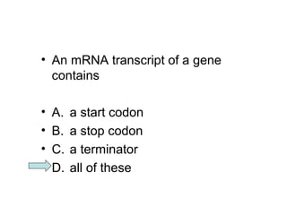 • An mRNA transcript of a gene 
contains 
• A. a start codon 
• B. a stop codon 
• C. a terminator 
• D. all of these 
 