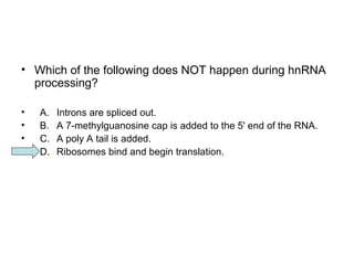 • Which of the following does NOT happen during hnRNA 
processing? 
• A. Introns are spliced out. 
• B. A 7-methylguanosine cap is added to the 5' end of the RNA. 
• C. A poly A tail is added. 
• D. Ribosomes bind and begin translation. 
 