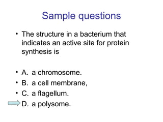 Sample questions 
• The structure in a bacterium that 
indicates an active site for protein 
synthesis is 
• A. a chromosome. 
• B. a cell membrane, 
• C. a flagellum. 
• D. a polysome. 
 