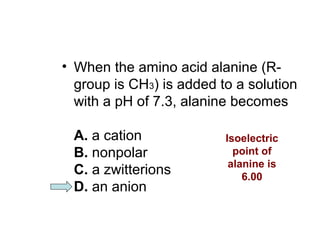• When the amino acid alanine (R-group 
is CH3) is added to a solution 
with a pH of 7.3, alanine becomes 
A. a cation 
Isoelectric 
B. nonpolar 
point of 
C. a zwitterions 
alanine is 
D. an anion 
6.00 
 