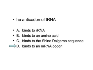 • he anticodon of tRNA 
• A. binds to rRNA 
• B. binds to an amino acid 
• C. binds to the Shine Dalgarno sequence 
• D. binds to an mRNA codon 
 