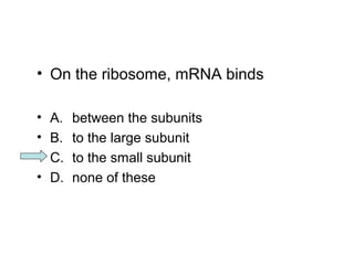• On the ribosome, mRNA binds 
• A. between the subunits 
• B. to the large subunit 
• C. to the small subunit 
• D. none of these 
 