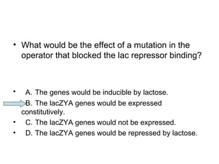 • What would be the effect of a mutation in the 
operator that blocked the lac repressor binding? 
• A. The genes would be inducible by lactose. 
• B. The lacZYA genes would be expressed 
constitutively. 
• C. The lacZYA genes would not be expressed. 
• D. The lacZYA genes would be repressed by lactose. 
 