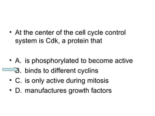 • At the center of the cell cycle control 
system is Cdk, a protein that 
• A. is phosphorylated to become active 
• B. binds to different cyclins 
• C. is only active during mitosis 
• D. manufactures growth factors 
 