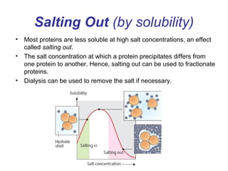 Salting Out (by solubility) 
• Most proteins are less soluble at high salt concentrations, an effect 
called salting out. 
• The salt concentration at which a protein precipitates differs from 
one protein to another. Hence, salting out can be used to fractionate 
proteins. 
• Dialysis can be used to remove the salt if necessary. 
 