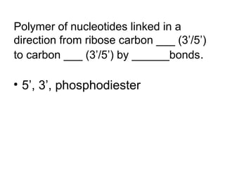 Polymer of nucleotides linked in a 
direction from ribose carbon ___ (3’/5’) 
to carbon ___ (3’/5’) by ______bonds. 
• 5’, 3’, phosphodiester 
 
