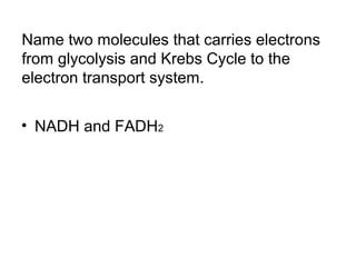 Name two molecules that carries electrons 
from glycolysis and Krebs Cycle to the 
electron transport system. 
• NADH and FADH2 
 