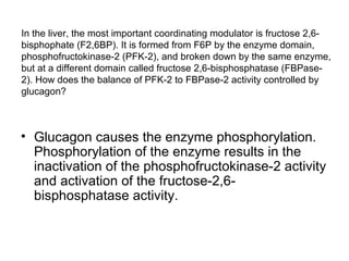 In the liver, the most important coordinating modulator is fructose 2,6- 
bisphophate (F2,6BP). It is formed from F6P by the enzyme domain, 
phosphofructokinase-2 (PFK-2), and broken down by the same enzyme, 
but at a different domain called fructose 2,6-bisphosphatase (FBPase- 
2). How does the balance of PFK-2 to FBPase-2 activity controlled by 
glucagon? 
• Glucagon causes the enzyme phosphorylation. 
Phosphorylation of the enzyme results in the 
inactivation of the phosphofructokinase-2 activity 
and activation of the fructose-2,6- 
bisphosphatase activity. 
 