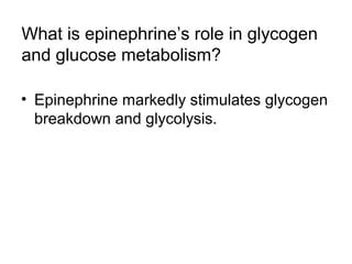 What is epinephrine’s role in glycogen 
and glucose metabolism? 
• Epinephrine markedly stimulates glycogen 
breakdown and glycolysis. 
 