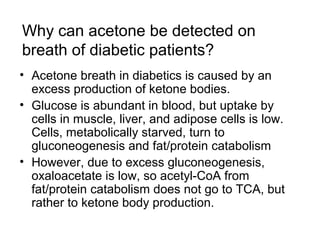 Why can acetone be detected on 
breath of diabetic patients? 
• Acetone breath in diabetics is caused by an 
excess production of ketone bodies. 
• Glucose is abundant in blood, but uptake by 
cells in muscle, liver, and adipose cells is low. 
Cells, metabolically starved, turn to 
gluconeogenesis and fat/protein catabolism 
• However, due to excess gluconeogenesis, 
oxaloacetate is low, so acetyl-CoA from 
fat/protein catabolism does not go to TCA, but 
rather to ketone body production. 
 