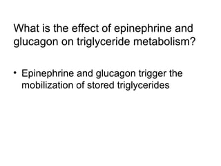 What is the effect of epinephrine and 
glucagon on triglyceride metabolism? 
• Epinephrine and glucagon trigger the 
mobilization of stored triglycerides 
 