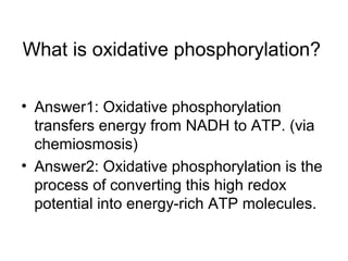 What is oxidative phosphorylation? 
• Answer1: Oxidative phosphorylation 
transfers energy from NADH to ATP. (via 
chemiosmosis) 
• Answer2: Oxidative phosphorylation is the 
process of converting this high redox 
potential into energy-rich ATP molecules. 
 