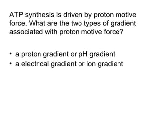 ATP synthesis is driven by proton motive 
force. What are the two types of gradient 
associated with proton motive force? 
• a proton gradient or pH gradient 
• a electrical gradient or ion gradient 
 