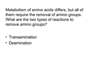 Metabolism of amino acids differs, but all of 
them require the removal of amino groups. 
What are the two types of reactions to 
remove amino groups? 
• Transamination 
• Deamination 
 