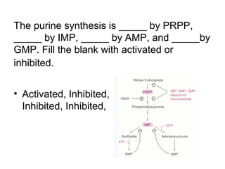 The purine synthesis is _____ by PRPP, 
_____ by IMP, _____ by AMP, and _____by 
GMP. Fill the blank with activated or 
inhibited. 
• Activated, Inhibited, 
Inhibited, Inhibited, 
 