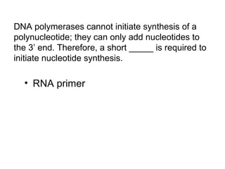 DNA polymerases cannot initiate synthesis of a 
polynucleotide; they can only add nucleotides to 
the 3’ end. Therefore, a short _____ is required to 
initiate nucleotide synthesis. 
• RNA primer 
 